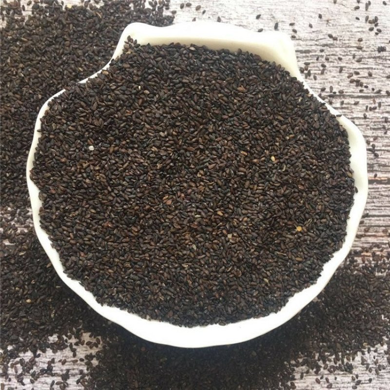车前子供应上千种中药材批发零售量大从优