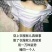 葡萄