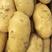 【推荐】土豆，沃土，西森，三两起步，超市品质欢迎来电