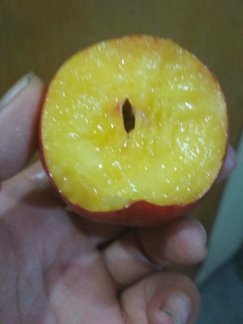 湖北省各品种油桃即将大量上市，品质好口感好！