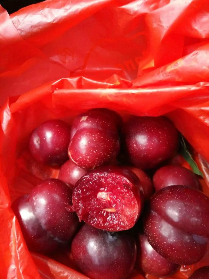 湖北省各品种油桃即将大量上市，品质好口感好！