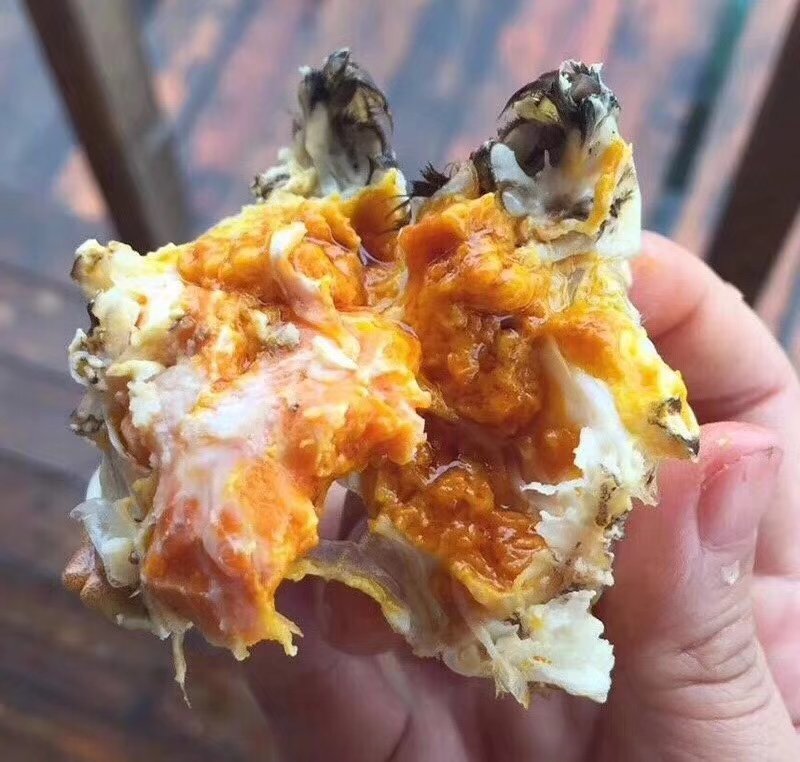 微山湖清水小龙虾大闸蟹大量上市
