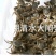 微山湖清水小龙虾大闸蟹大量上市