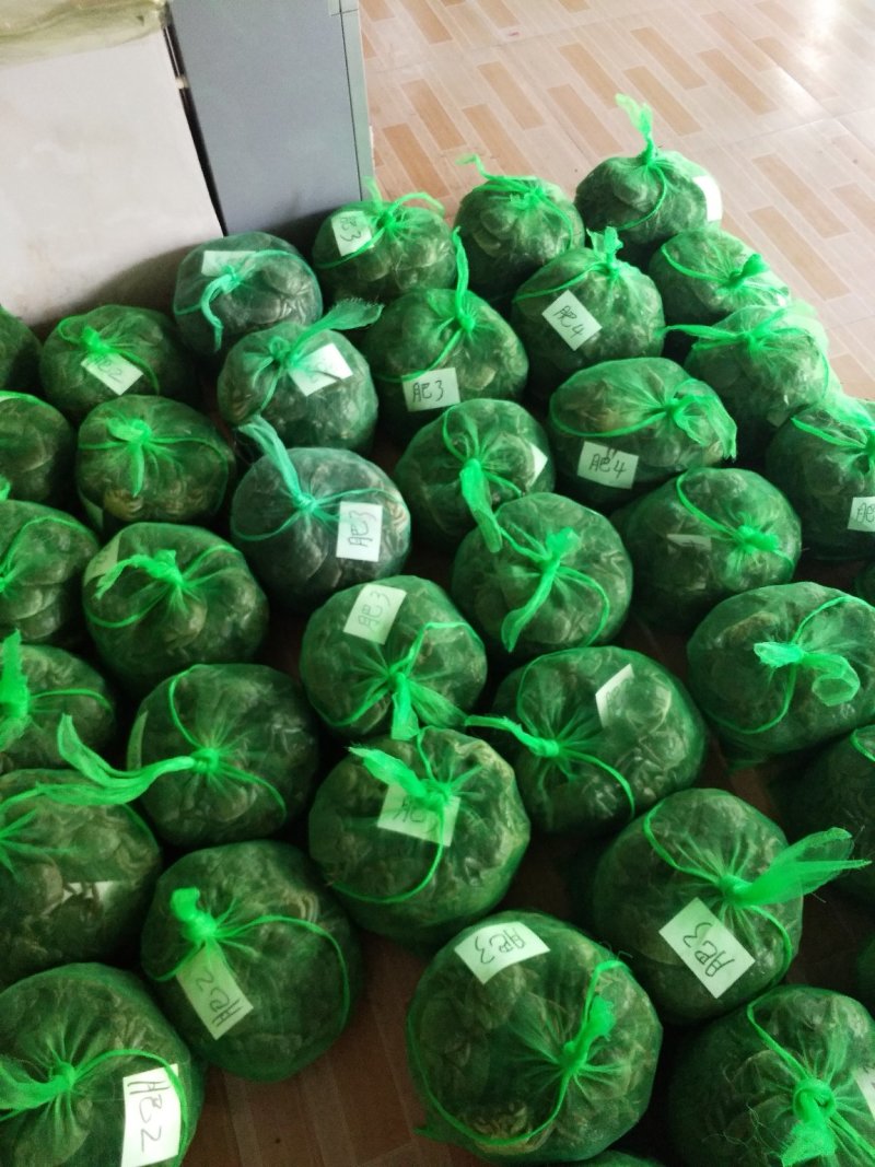 微山湖清水小龙虾大闸蟹大量上市