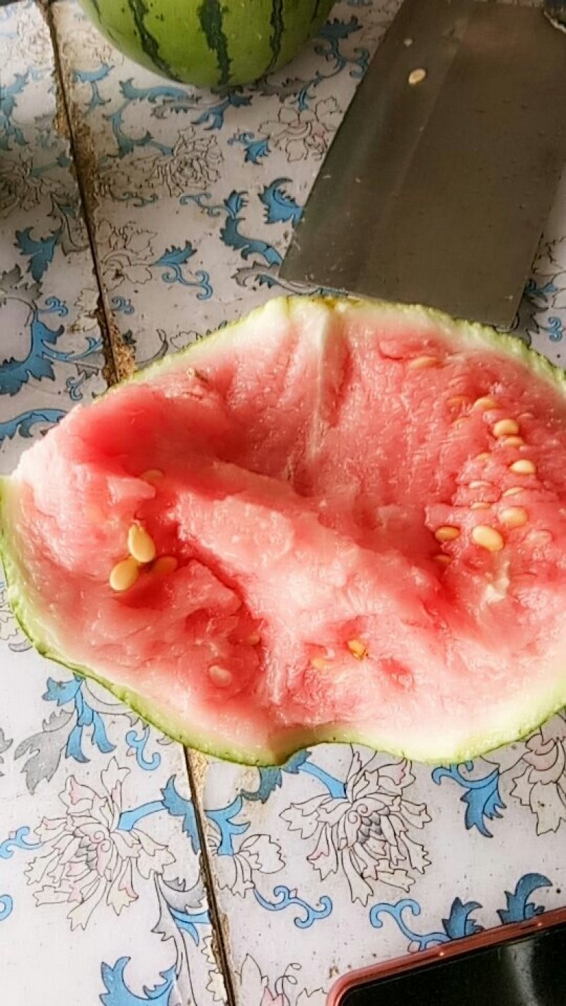 西瓜熟了要的联系我