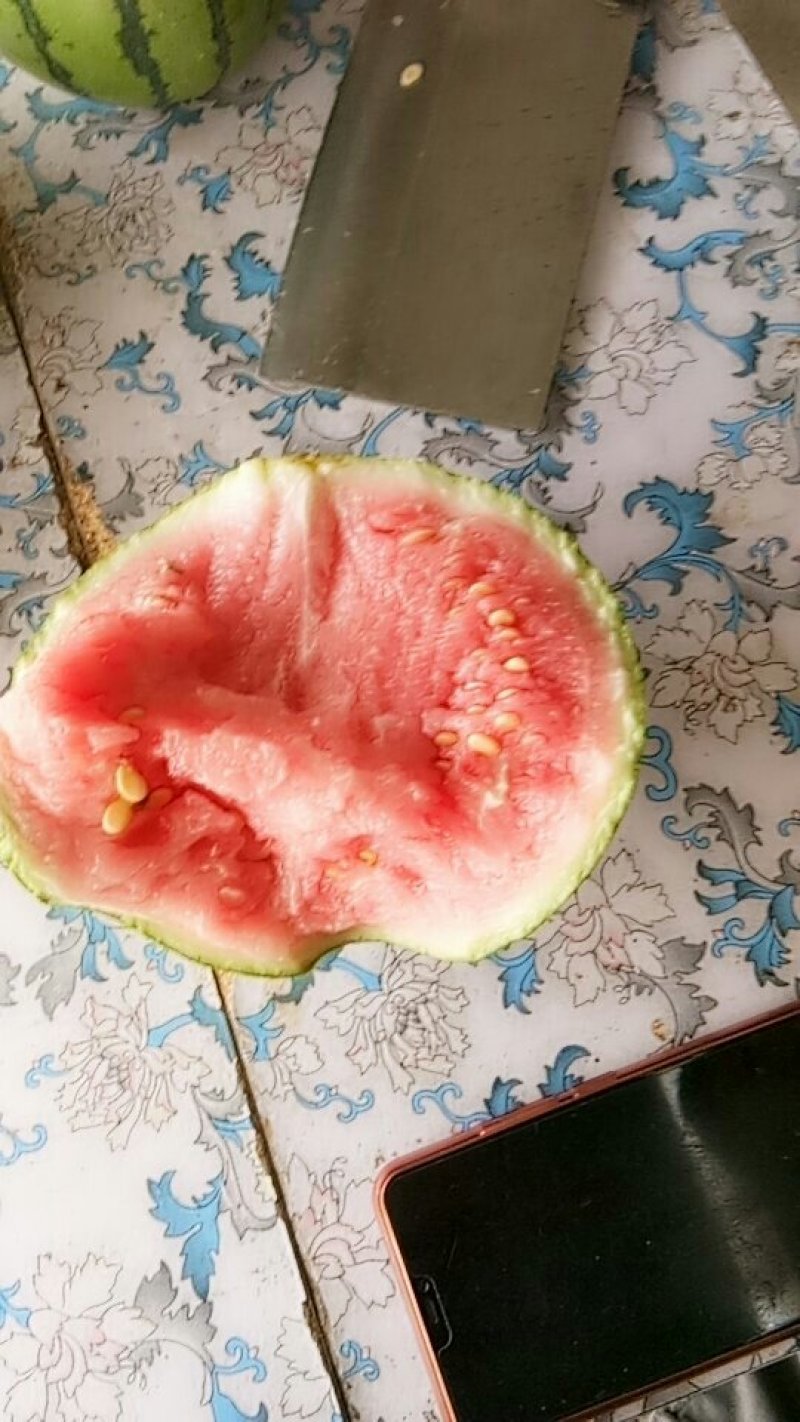 西瓜熟了要的联系我
