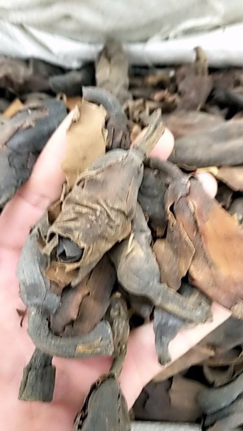 厚朴花批发各种规格中药材不包邮