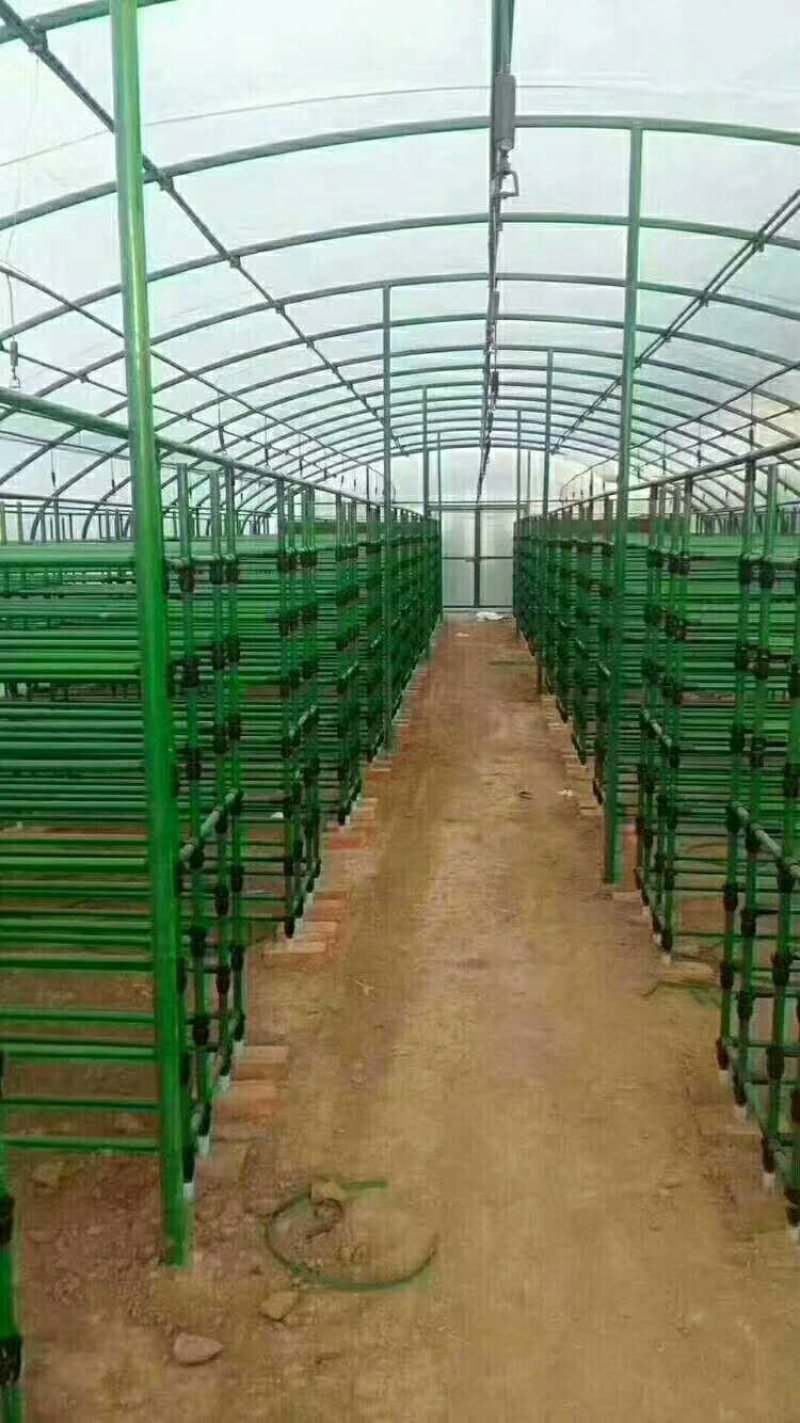 开封大棚骨架厂家，新疆食用菌大棚，安阳养猪大棚