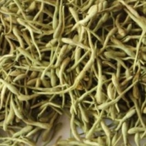 金银花新货金银花色青无杂无硫山东金银花二花批发带绒青花