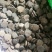 木鳖子无硫广西野生正品颗粒饱满一公斤起发货