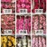 【玫瑰苗】昆明苗木基地直发，玫瑰苗品种齐全，苗好价优