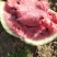 8424西瓜🍉8――15斤供应