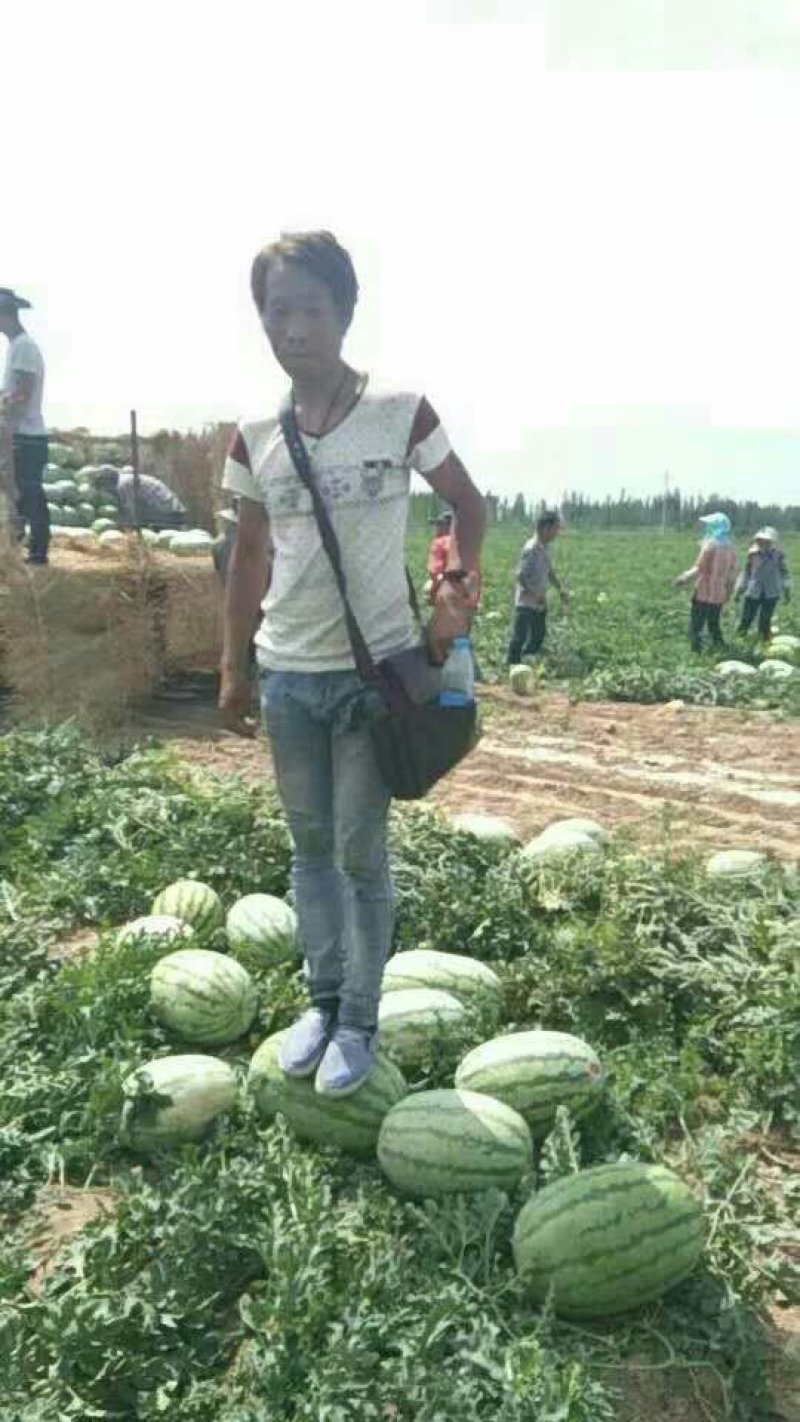 哈密精品双红金城五号大红讓小薄皮价格便宜货源充足
