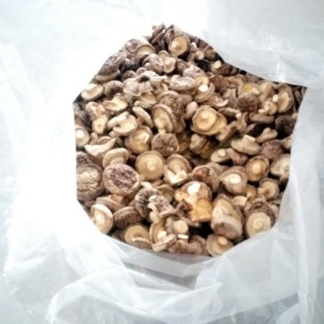 农家特级花菇干货冬菇新鲜干花菇干香菇