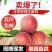 预售一件代发陕西新鲜水果水蜜桃当季时令桃子现摘现发
