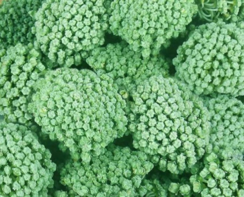 三七花1公斤/袋，三年无柄剪花