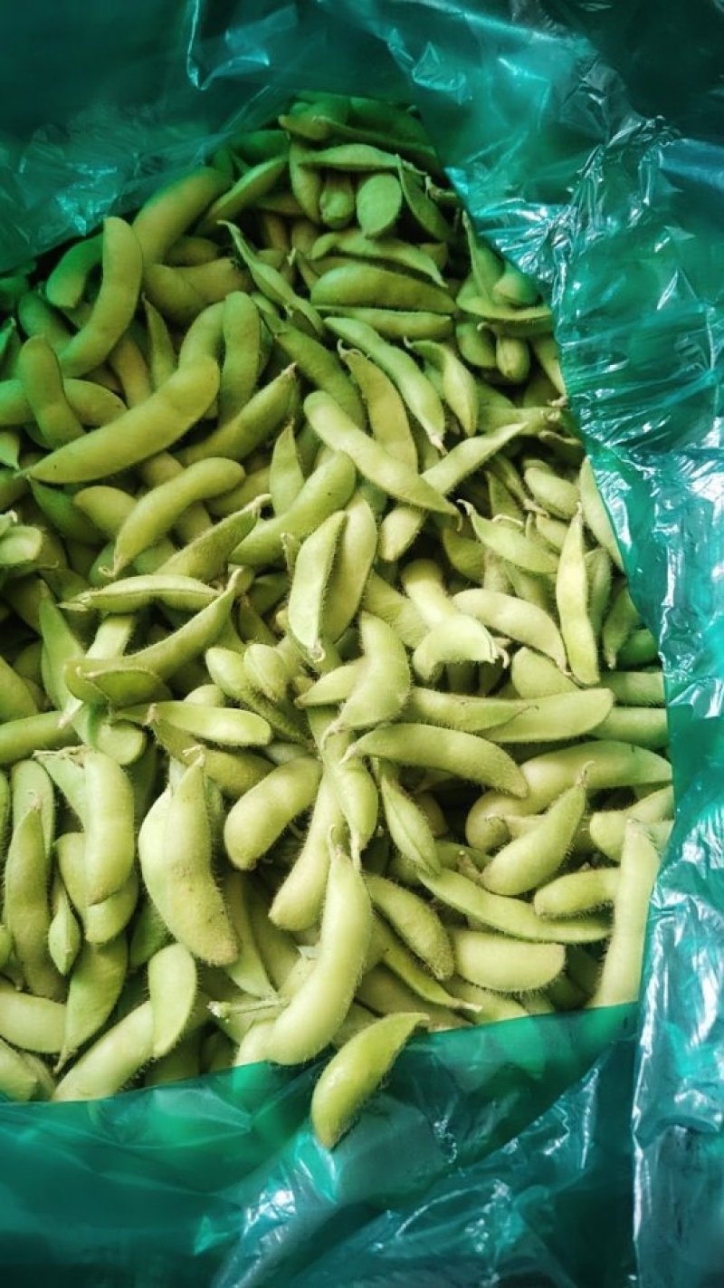 蔬菜黄豆角