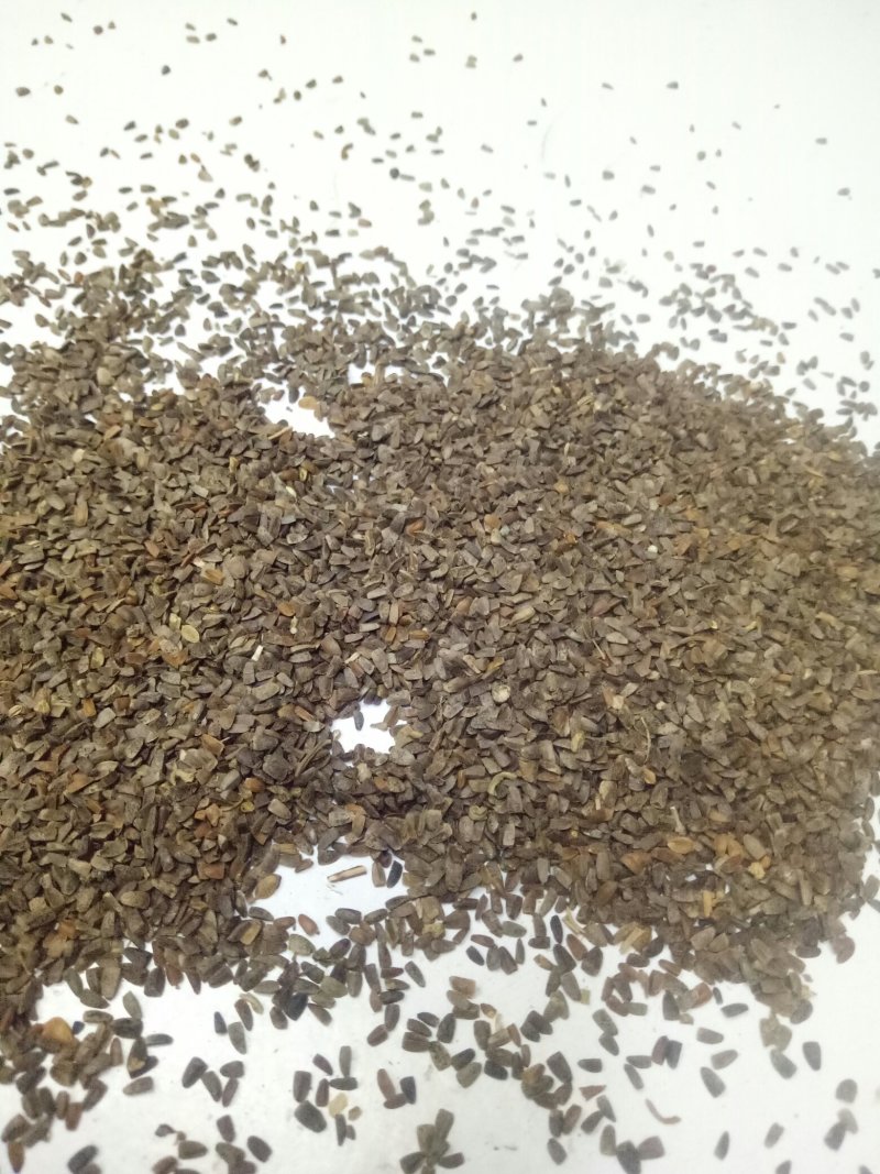 茺蔚子四川干净质量好饮片合格大量批发出售