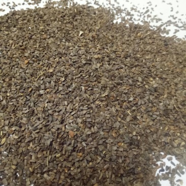 茺蔚子四川干净质量好饮片合格大量批发出售