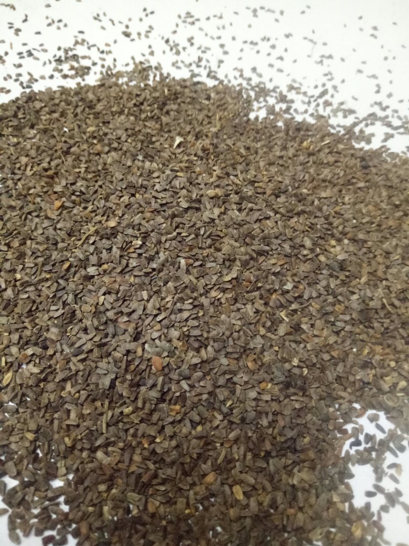 茺蔚子四川干净质量好饮片合格大量批发出售