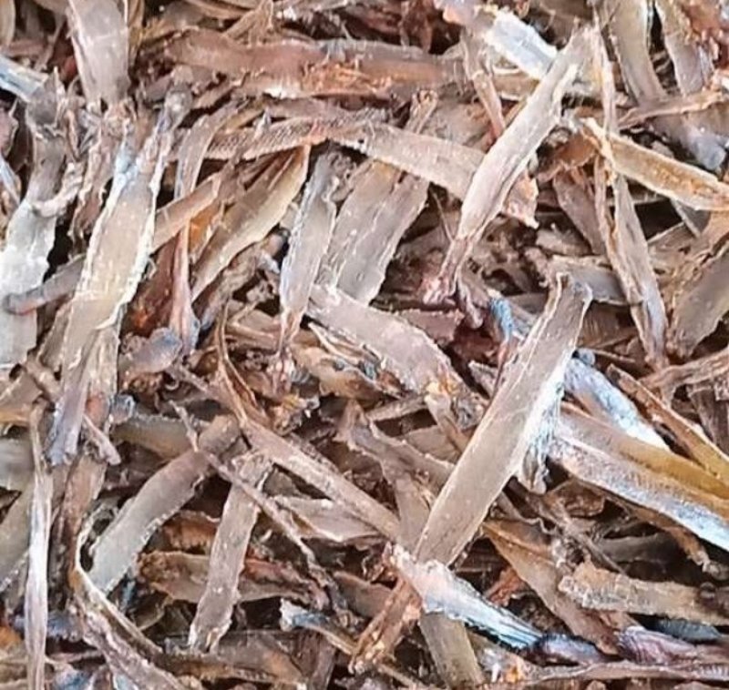 地龙新货地龙全开无硫***假一赔十大货零售批发