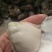 威海牡蛎大量出货价格有变动