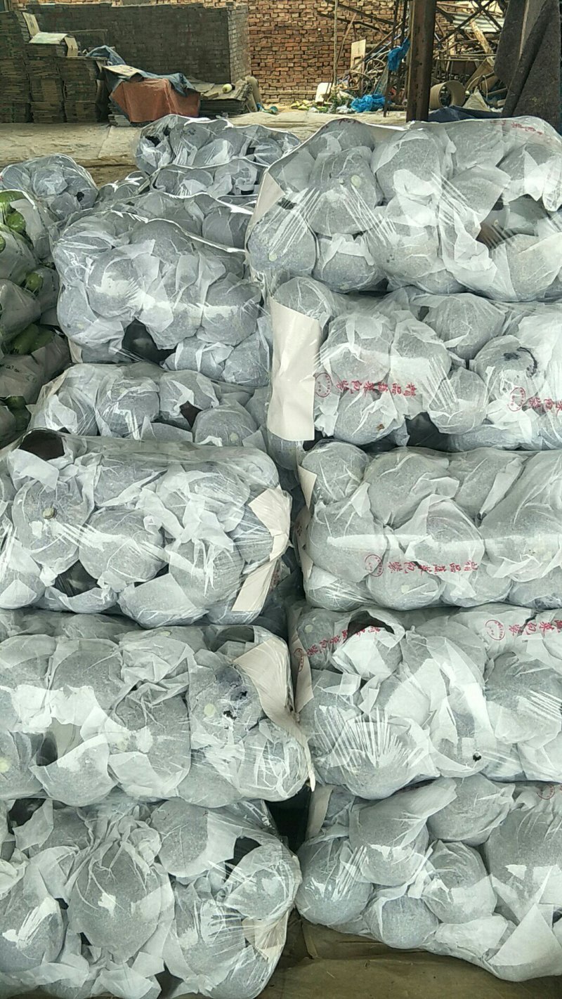 山东聊城园茄李合增代收代发各大蔬菜市场火热销售中