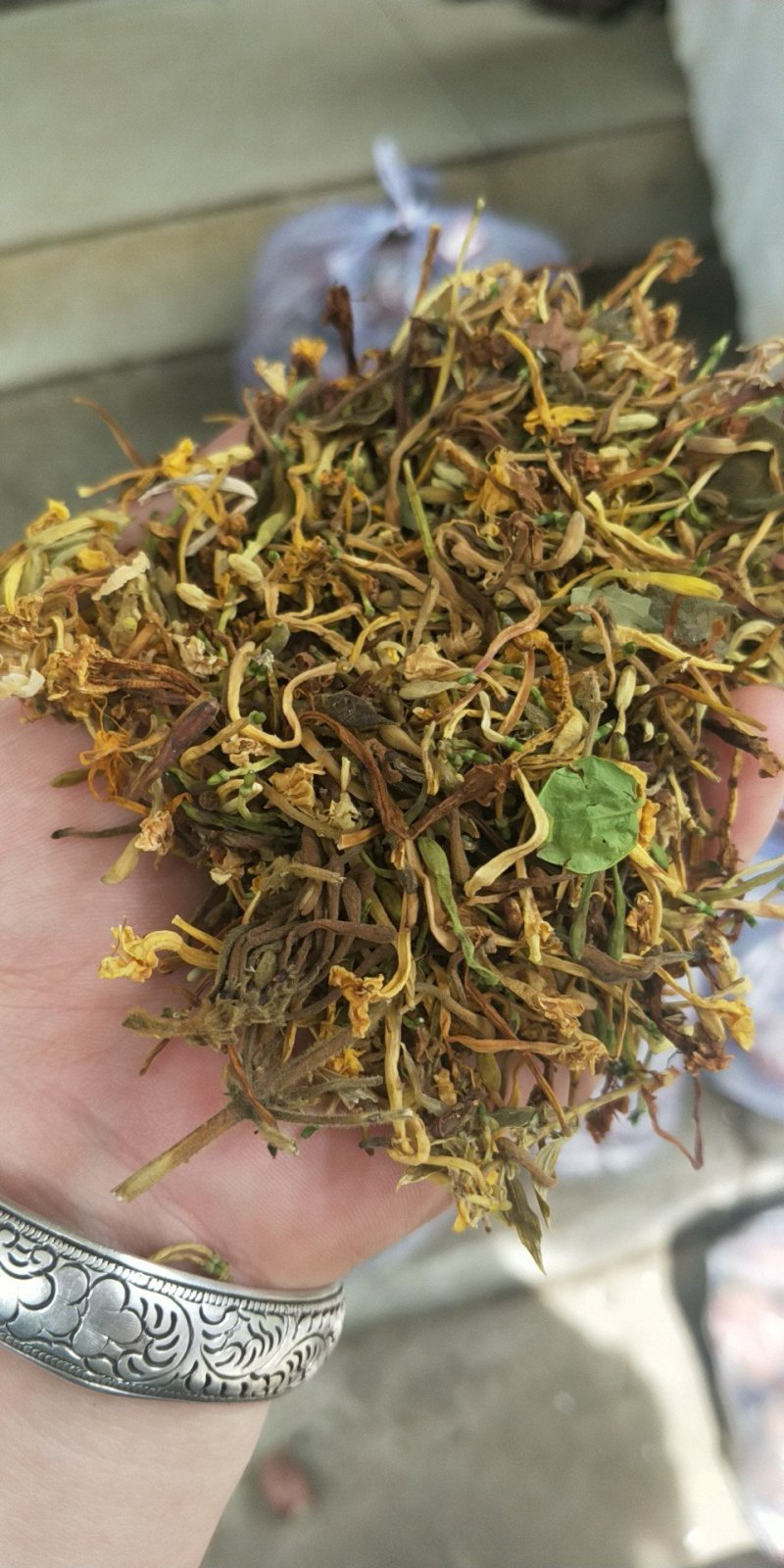 广西金秀大瑶山野生金银花