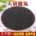 无硫中药材王不留行炒王不留行优质新货承接订单