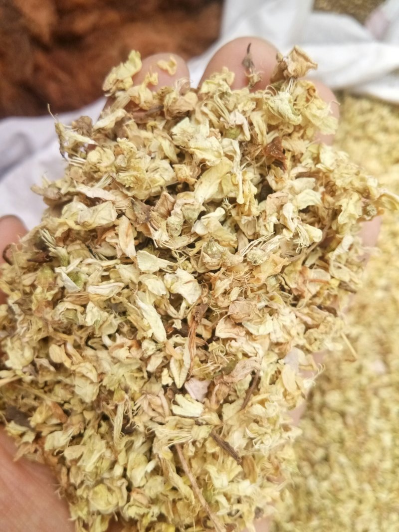 槐花无硫国槐干花净货人工挑选批发零售一公斤起