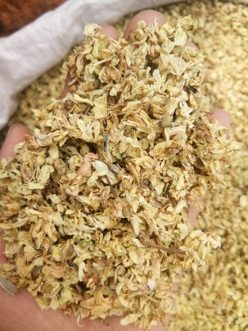槐花无硫国槐干花净货人工挑选批发零售一公斤起