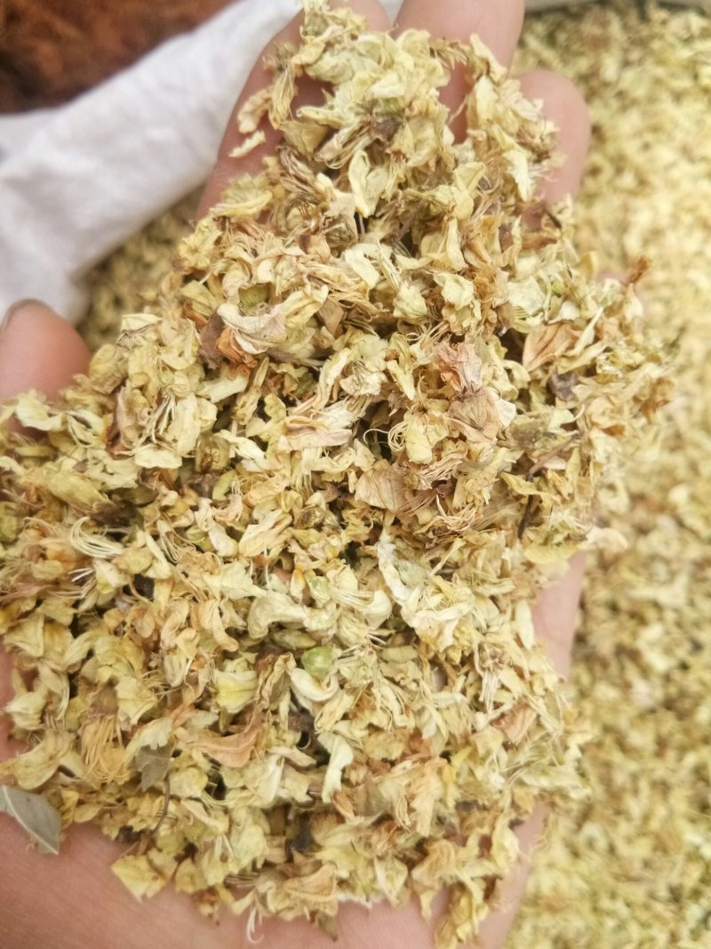 槐花无硫国槐干花净货人工挑选批发零售一公斤起