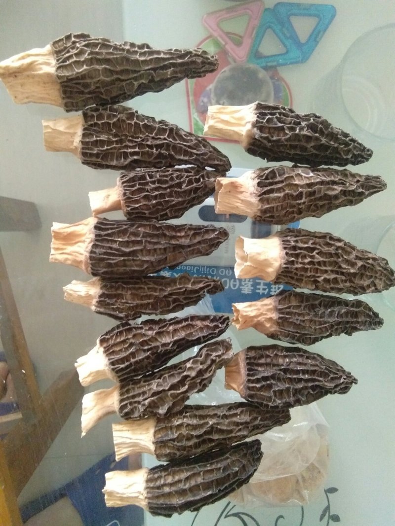 棚种羊肚菌干货