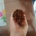 纯野生蜈蚣。16cm