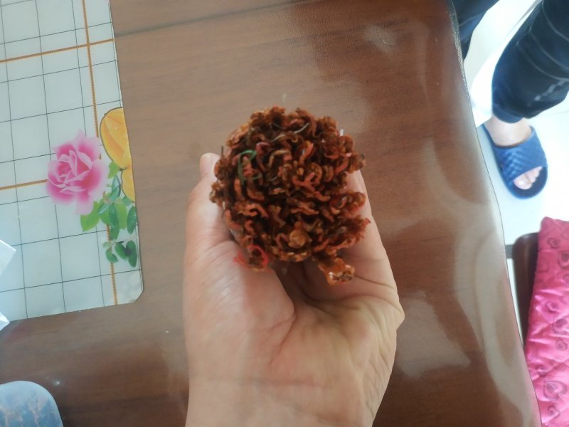 纯野生蜈蚣。16cm
