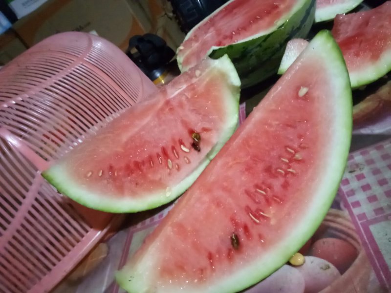 麒麟西瓜，大户种植