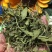 一支箭供应上千种中药材