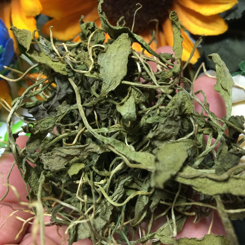 一支箭供应上千种中药材