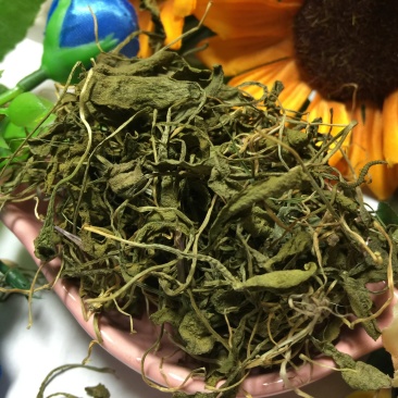 一支箭供应上千种中药材