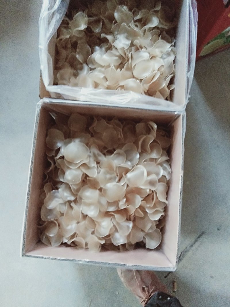 红薯粉皮，红薯粉片红薯粉皮条