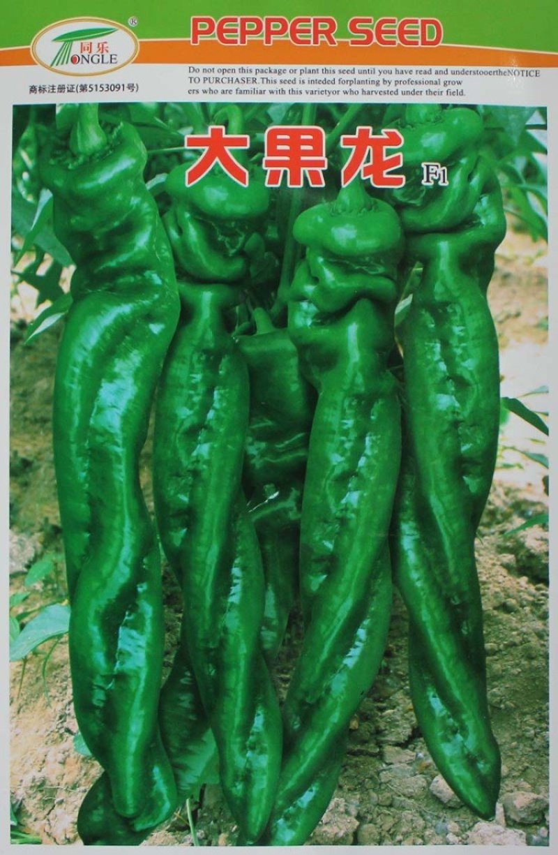 大果龙椒种子螺丝椒猪大肠椒高产辣椒种子每袋袋一千粒包邮