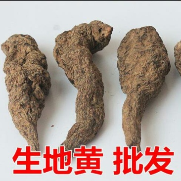 生地，焦作武陟产地直供高含量，生地熟地代加工