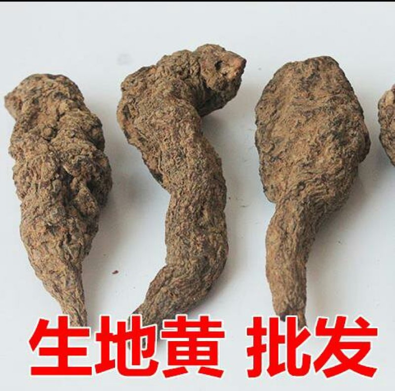生地，焦作武陟产地直供高含量，生地熟地代加工