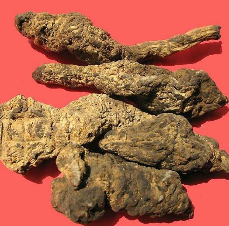 生地，焦作武陟产地直供高含量，生地熟地代加工