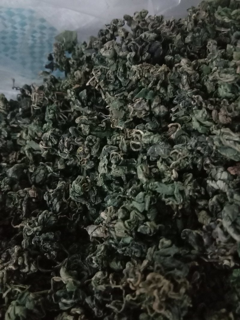 绞股蓝。