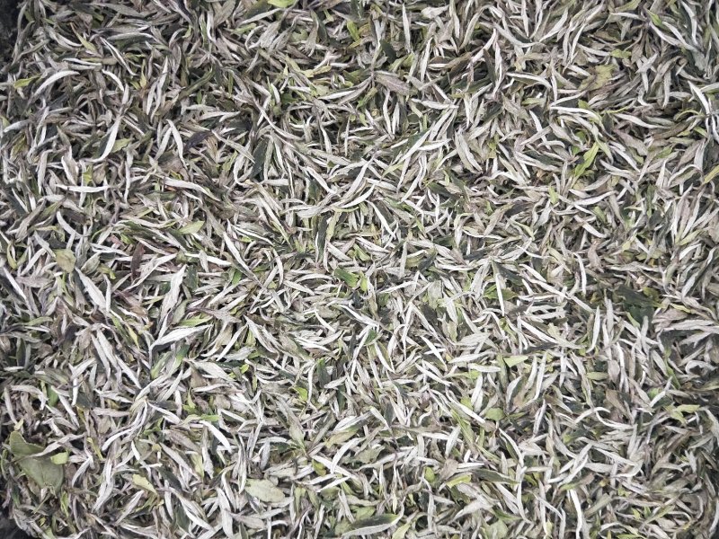 茶叶福鼎白茶高档高级白牡丹