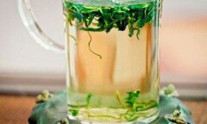 蒲公英茶叶