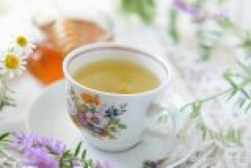 蒲公英茶叶
