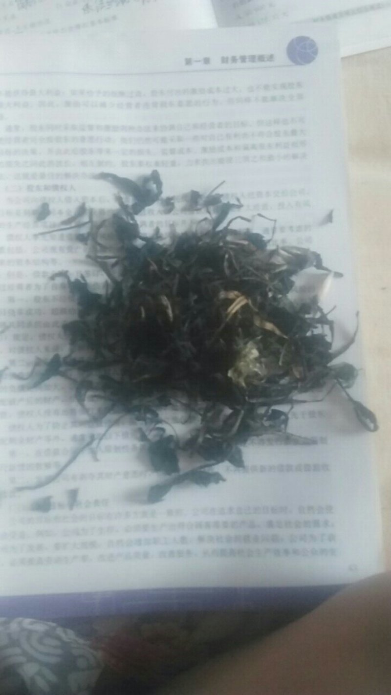 蒲公英茶叶
