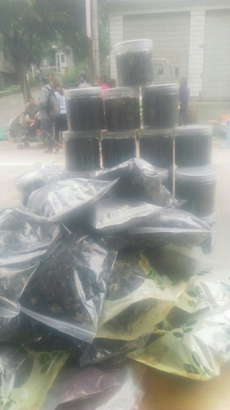 蒲公英茶叶